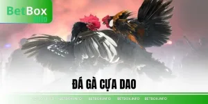 đá gà cựa dao