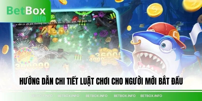 Hướng Dẫn Chi Tiết Luật Chơi Cho Người Mới Bắt Đầu