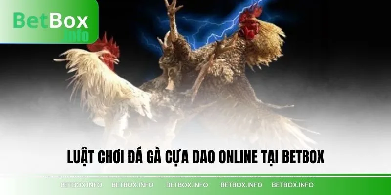 Luật Chơi Đá Gà Cựa Dao Online Tại BETBOX